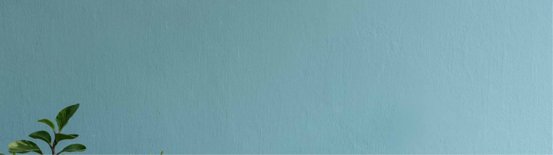Interior Paints